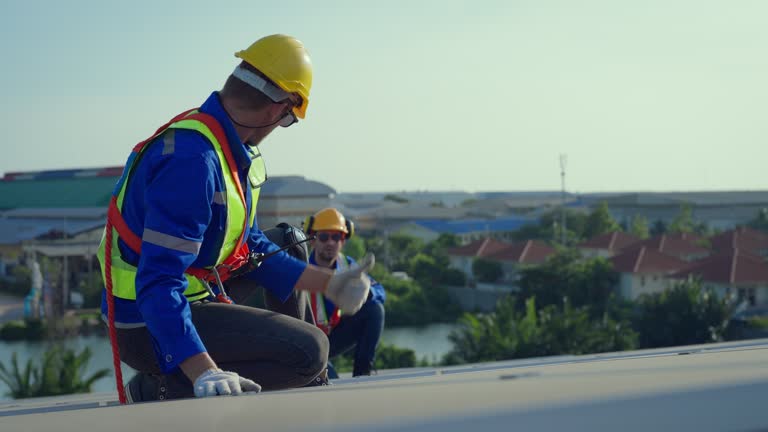 Asphalt Shingles Roofing in Elbow Lake, MN